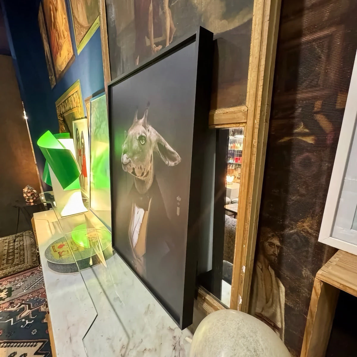 Ibride 'Charles' (No. 37) Framed Portrait | Rachel Convers Design | Anthropomorphic Llama Art