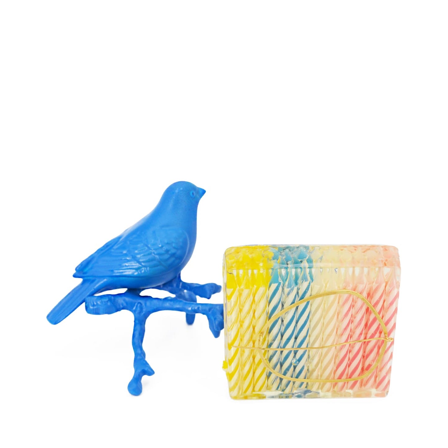 Brooch by Catalina Brenes