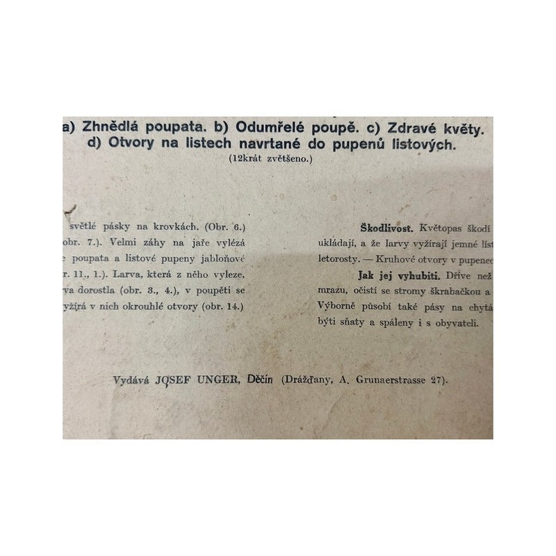 Detalle del texto explicativo en checo y la línea editorial de Josef Unger en papel envejecido