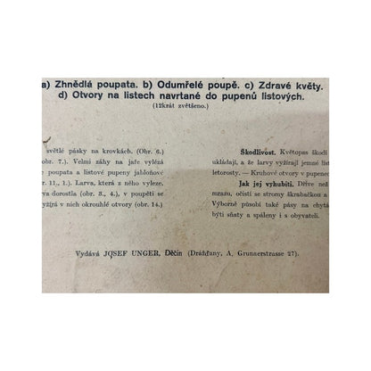 Detalle del texto explicativo en checo y la línea editorial de Josef Unger en papel envejecido