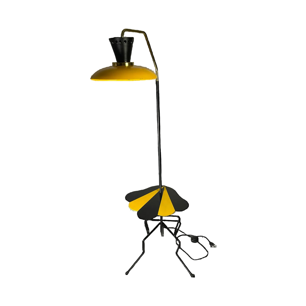 a multifunctional floor lamp
