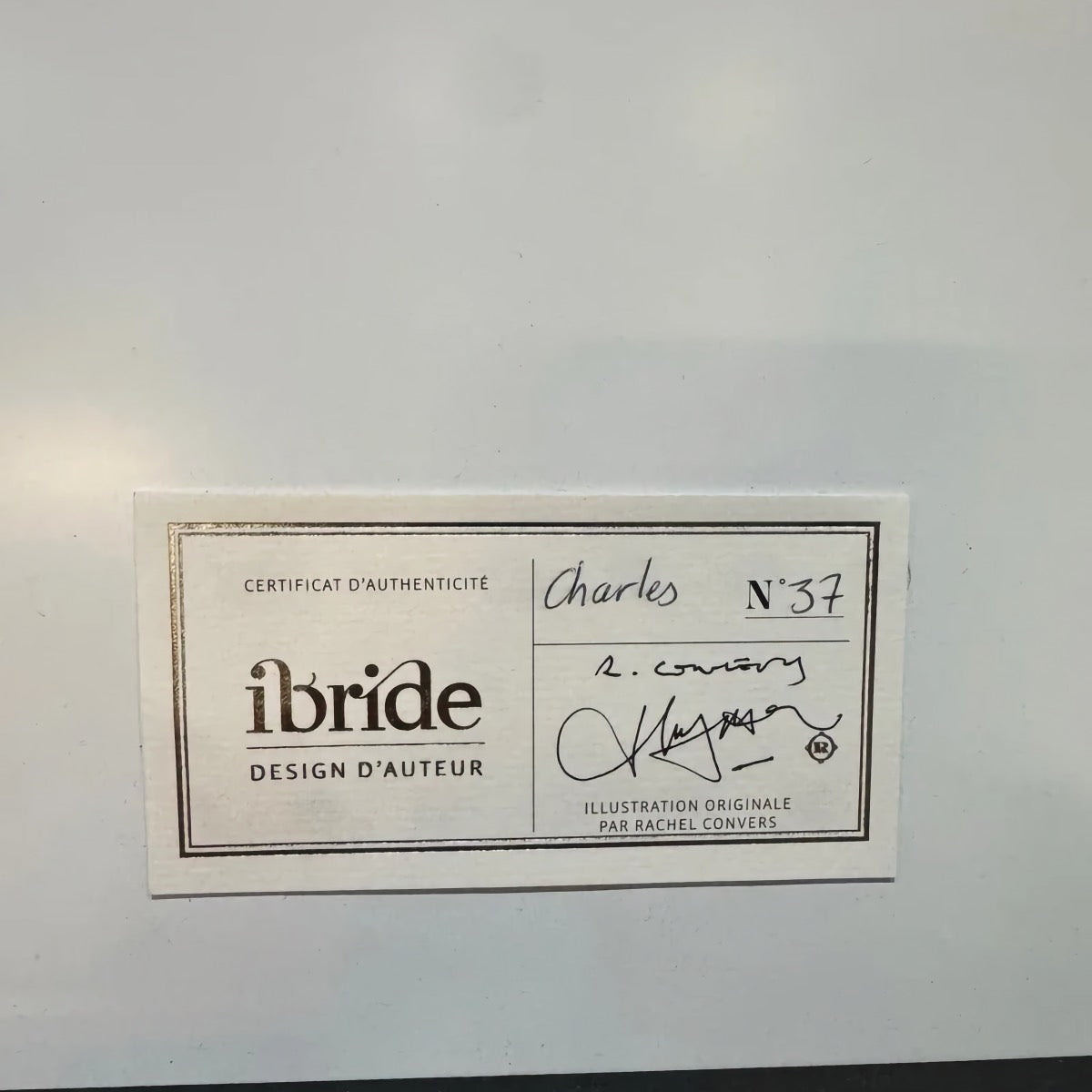 Ibride 'Charles' (No. 37) Framed Portrait | Rachel Convers Design | Anthropomorphic Llama Art