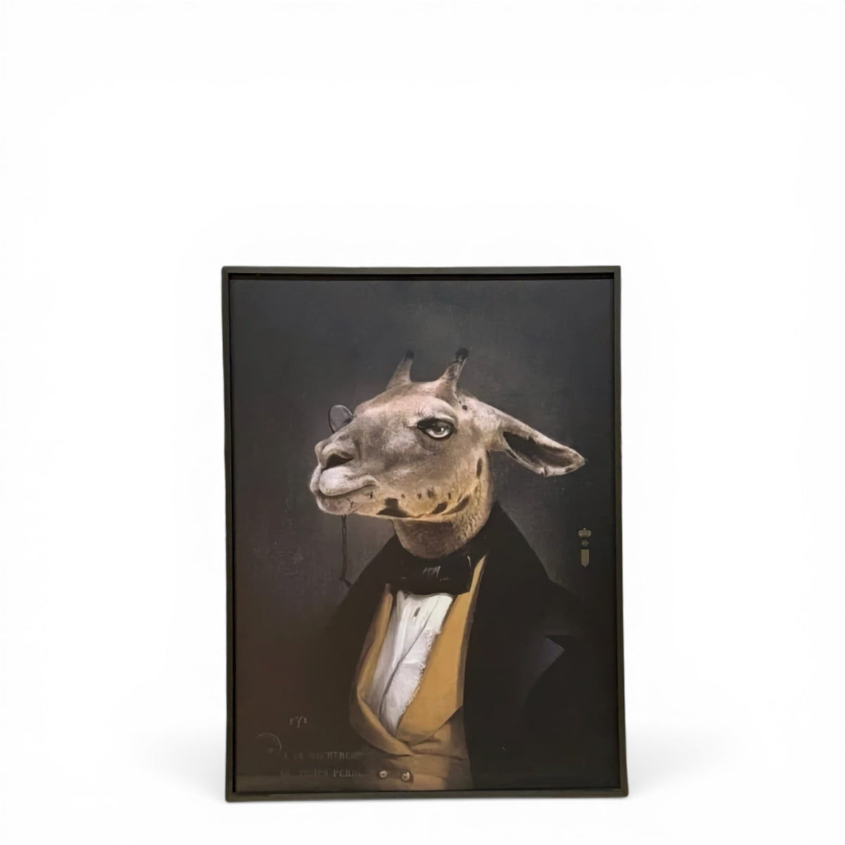 Ibride 'Charles' (No. 37) Framed Portrait | Rachel Convers Design | Anthropomorphic Llama Art